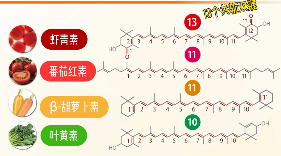 艾詩特蝦青素